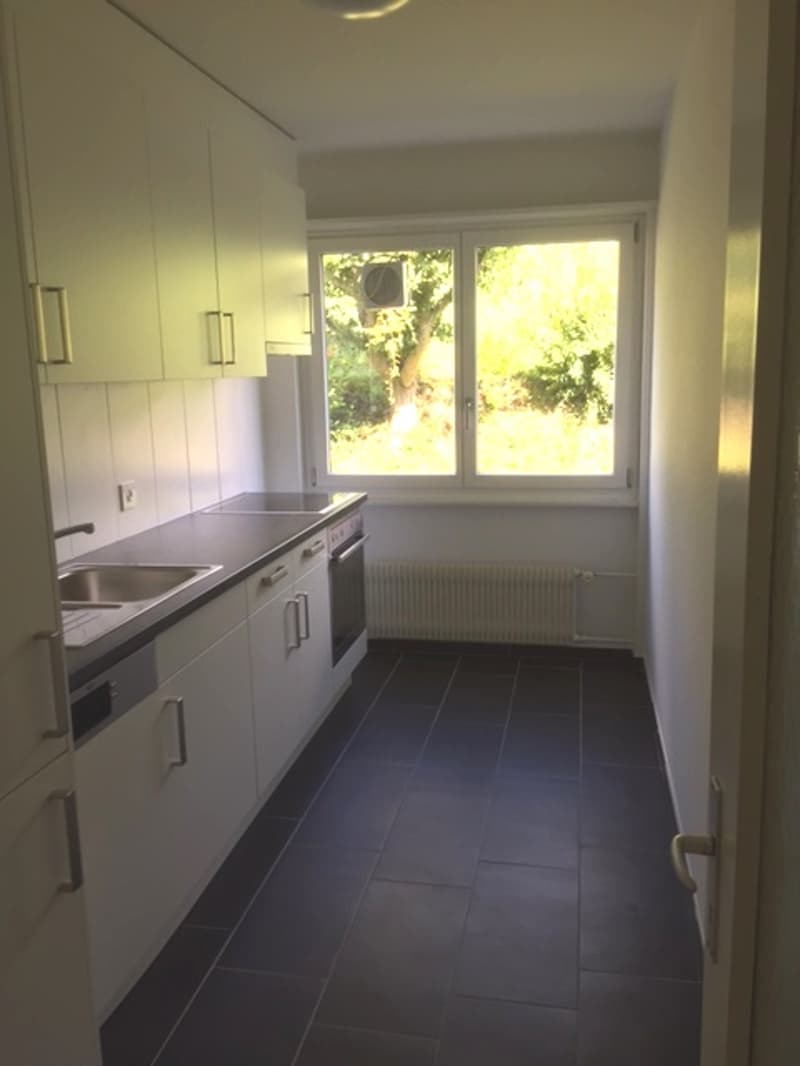 Wunderschöne 3 Zimmer Wohnung zu vermieten (4)