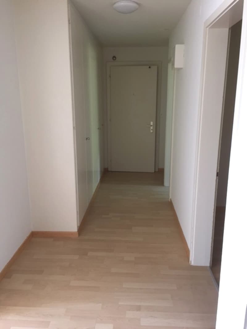 Wunderschöne 3 Zimmer Wohnung zu vermieten (7)