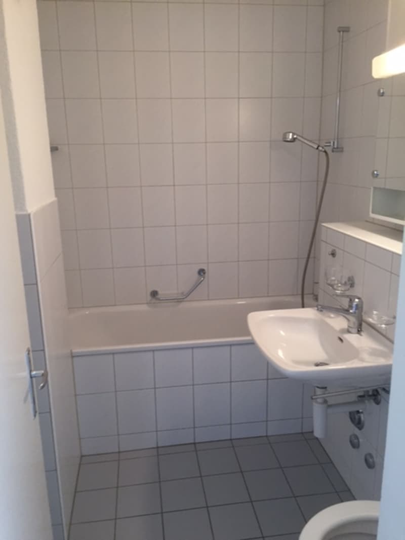 Wunderschöne 3 Zimmer Wohnung zu vermieten (8)