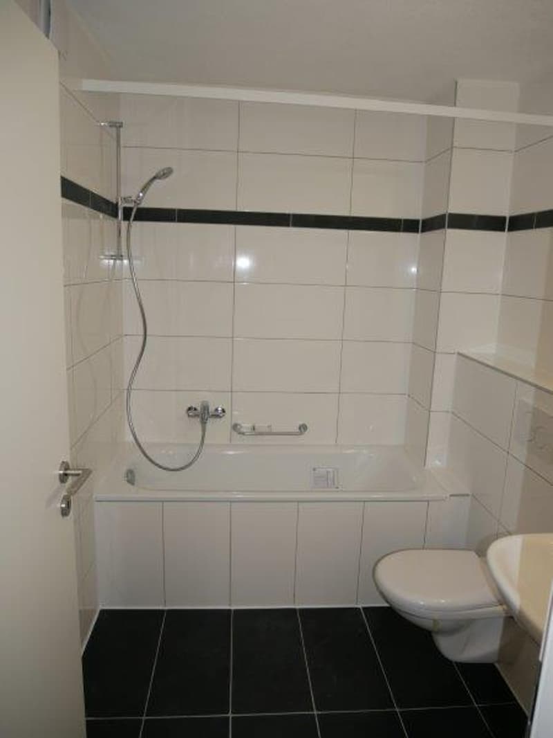 Wunderschöne 2-Zimmer-Wohnung in Waldenburg zu vermieten (5)