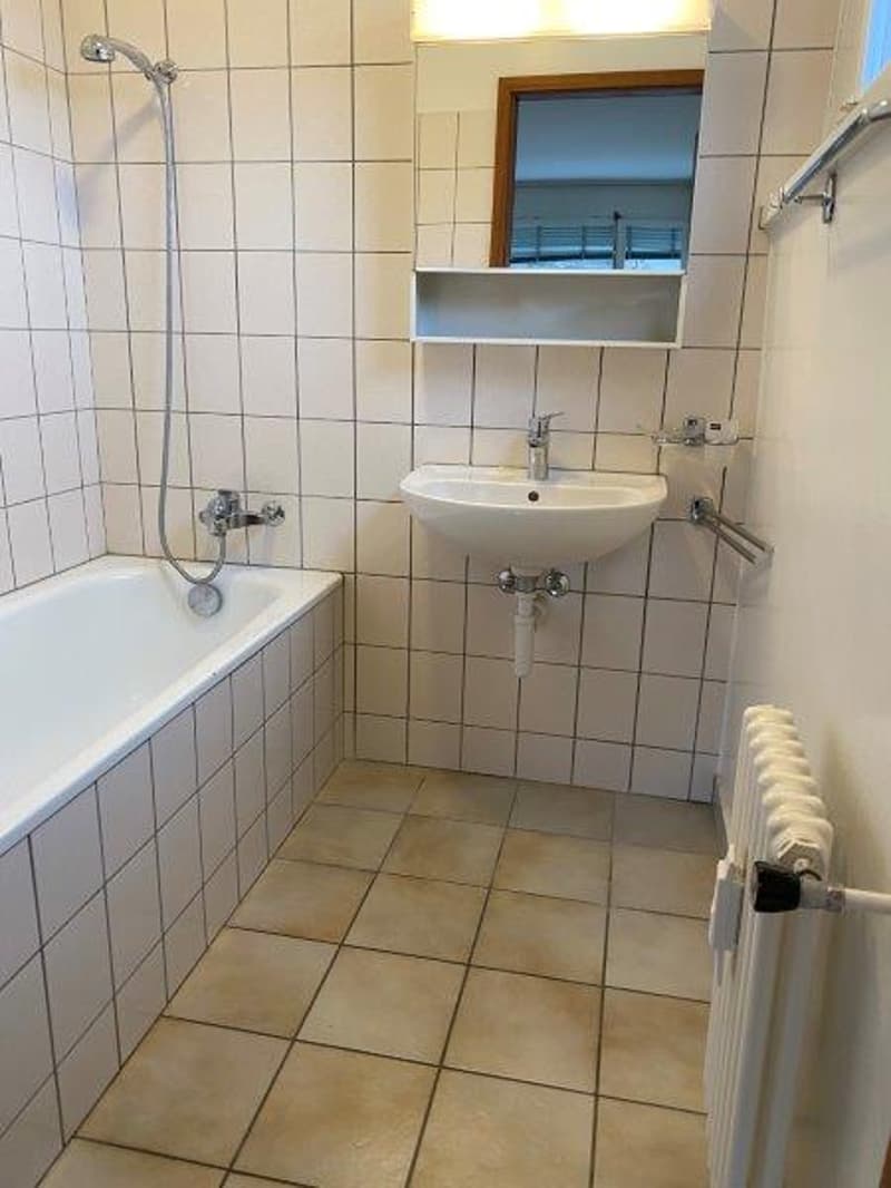 Magnifique appartement de trois pièces (4)