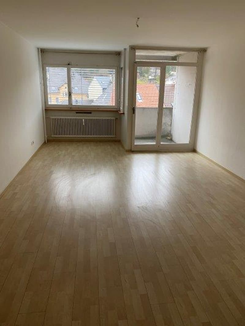 Magnifique appartement de trois pièces (2)