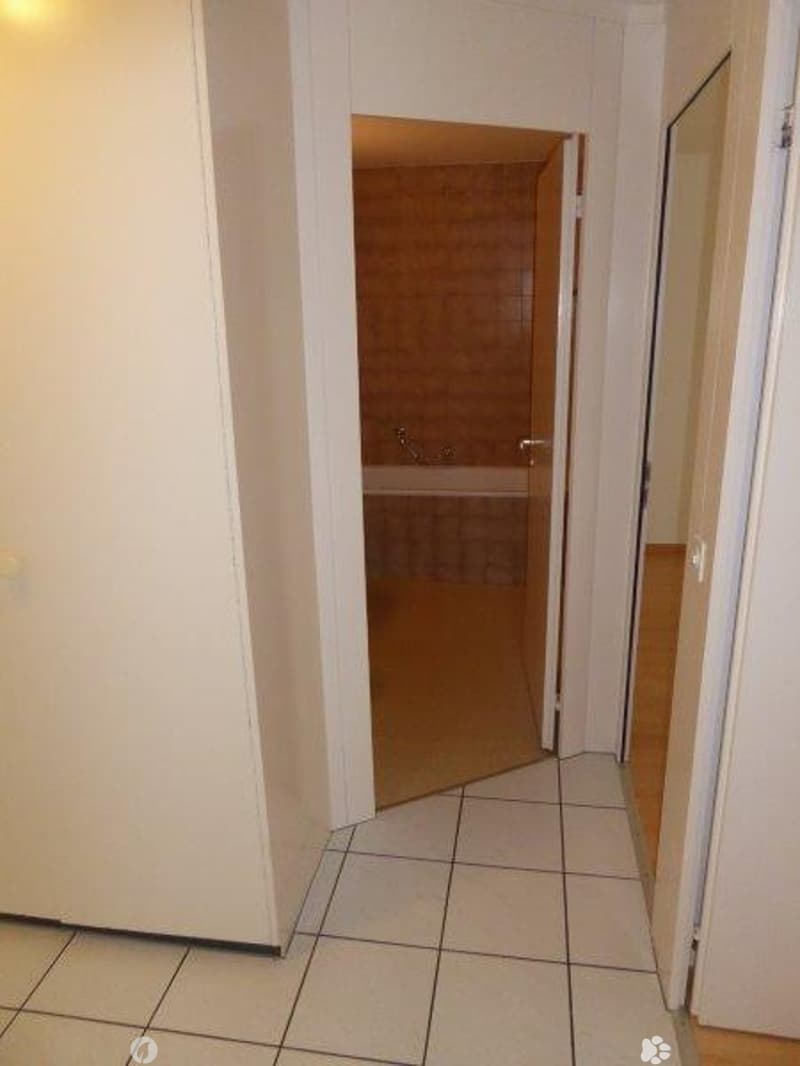 Grosse, wunderschöne 3.5-Zimmer-Wohnung (6)