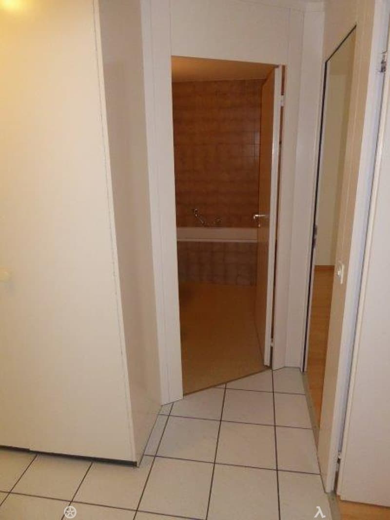 Grosse, wunderschöne 3.5-Zimmer-Wohnung (6)