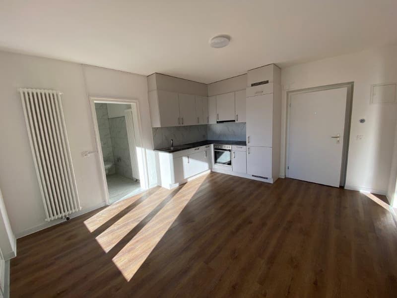 Appartement lumineux de 2 pièces avec balcon et vue sur les montagnes à Biasca (2)