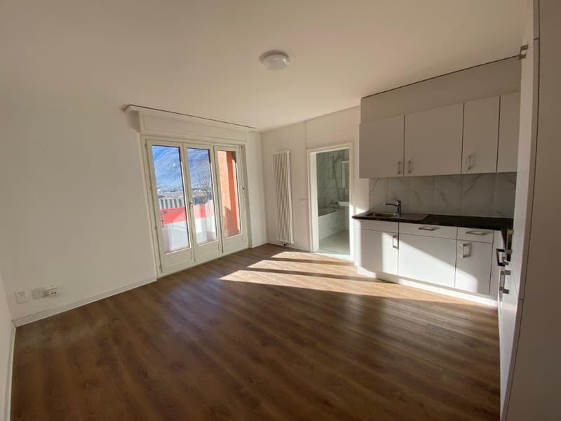 Appartement lumineux de 2 pièces avec balcon et vue sur les montagnes à Biasca (3)