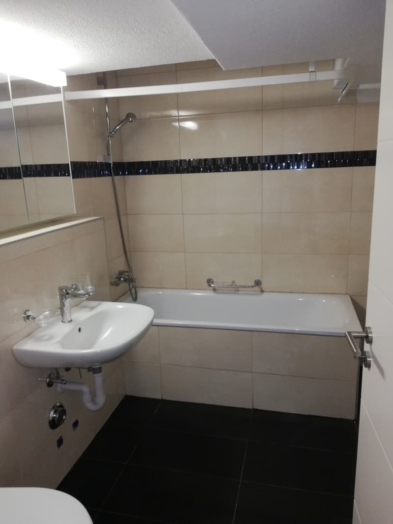 Wunderschöne 3-Zimmerwohnung in der Nähe des Rheinfalls (8)