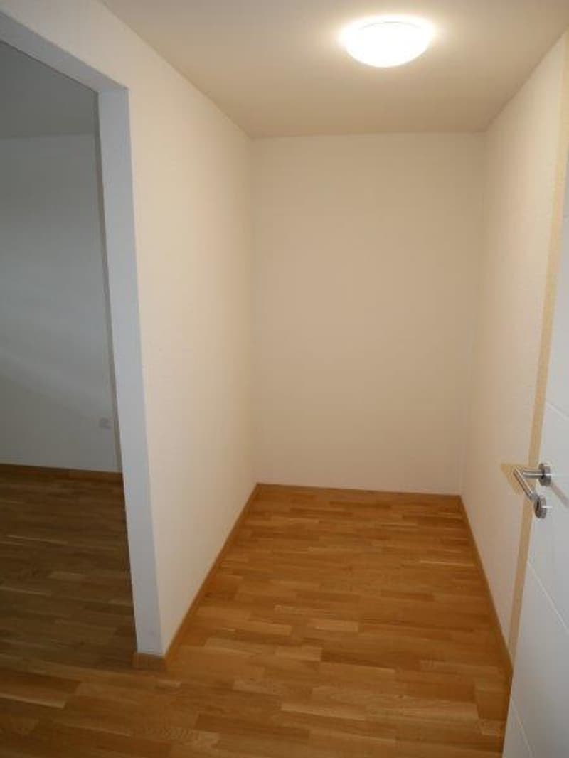 Wunderschöne 3-Zimmerwohnung in der Nähe des Rheinfalls (7)