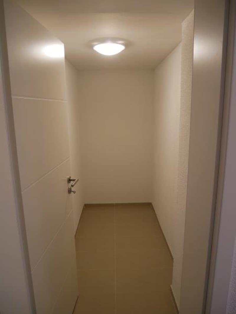 Wunderschöne 3-Zimmerwohnung in der Nähe des Rheinfalls (6)