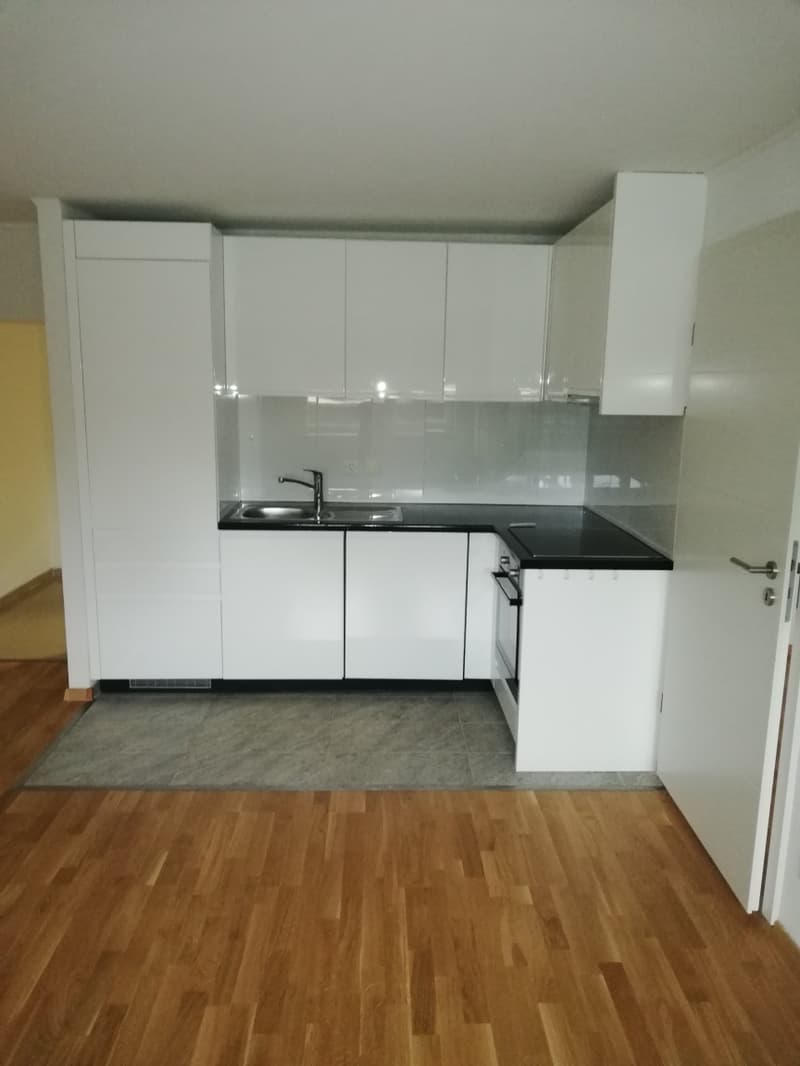 Wunderschöne 3-Zimmerwohnung in der Nähe des Rheinfalls (3)