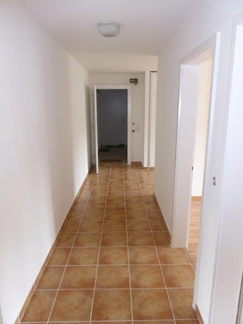 Helle 3.5-Zimmer-Wohnung mit Balkon und schöner Aussicht in Hägendorf (4)