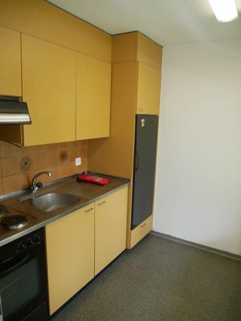 Helles 1-Zimmer-Apartment im 4. OG mit Aussicht in Trimbach (3)