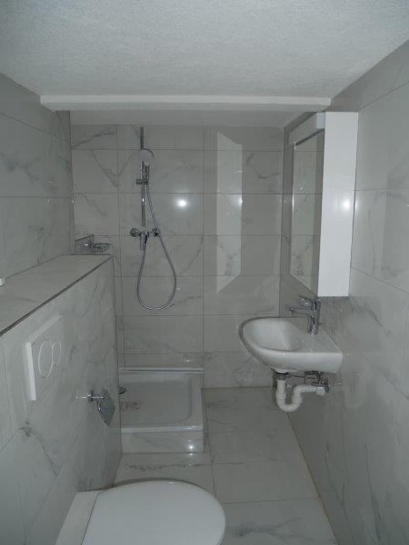 Wunderschöne Studio-Wohnung zur Miete in Siebnen (3)