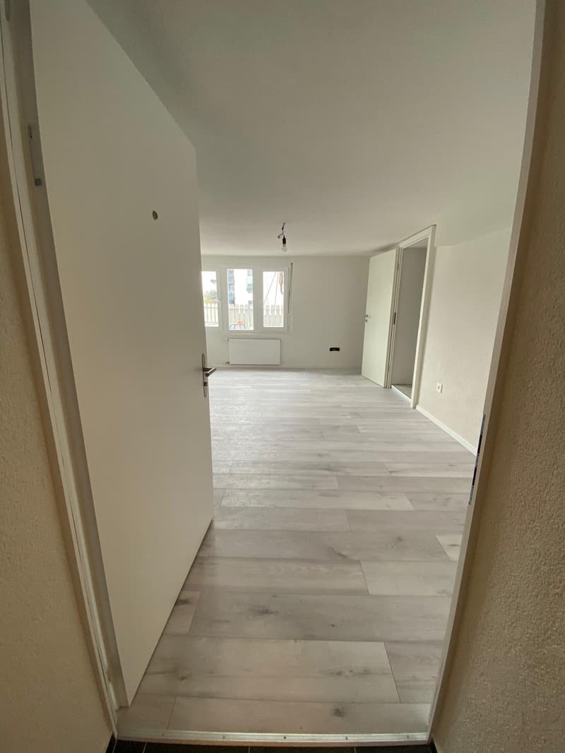 Wunderschöne Studio-Wohnung zur Miete in Siebnen (2)