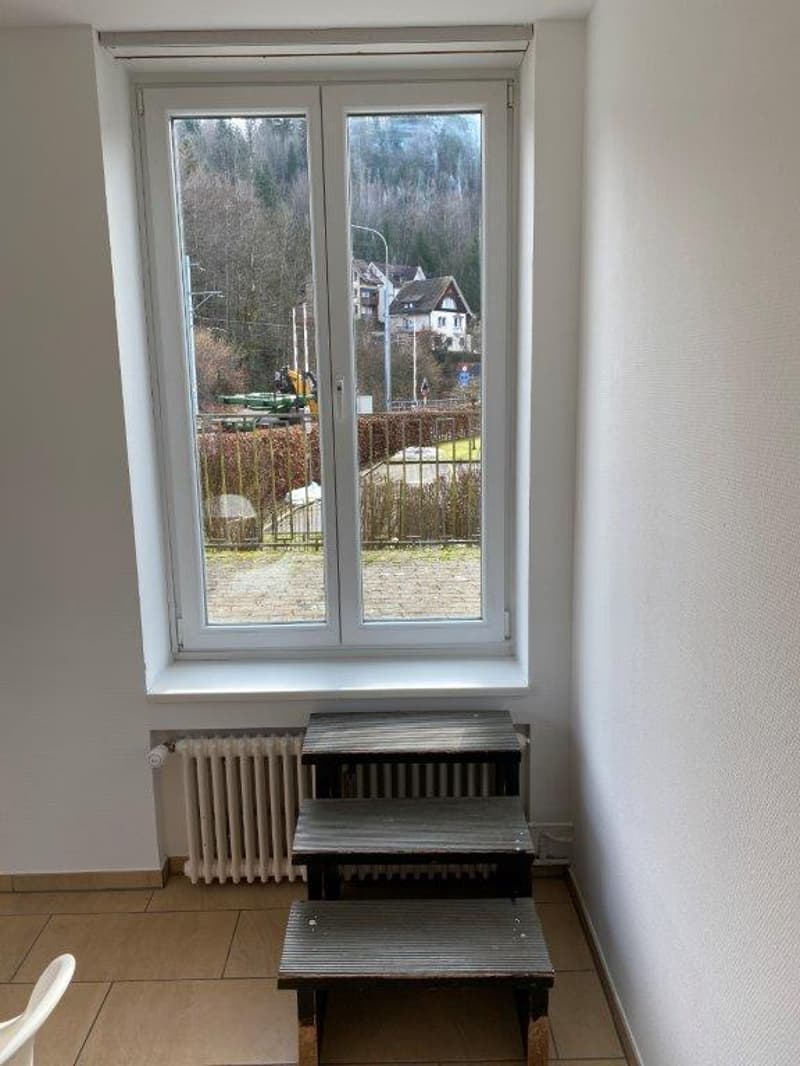 Gemütliche 2.5-Zimmer-Wohnung im Erdgeschoss an der Teufener Strasse, St. Gallen (10)