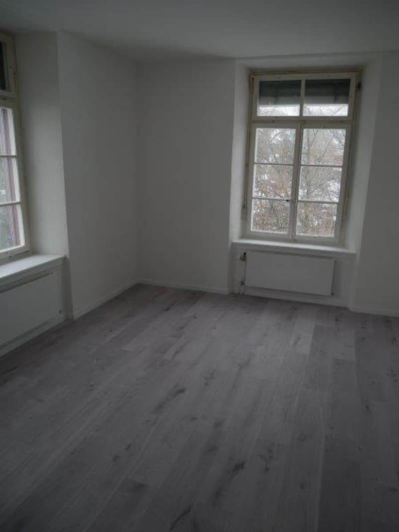 Gemütliche 2.5-Zimmer-Wohnung in ruhiger Lage in Riedern (4)