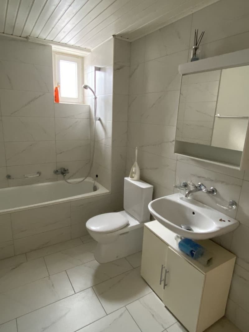 Magnifique appartement de 4.5 pièces! Un loyer offert! (9)