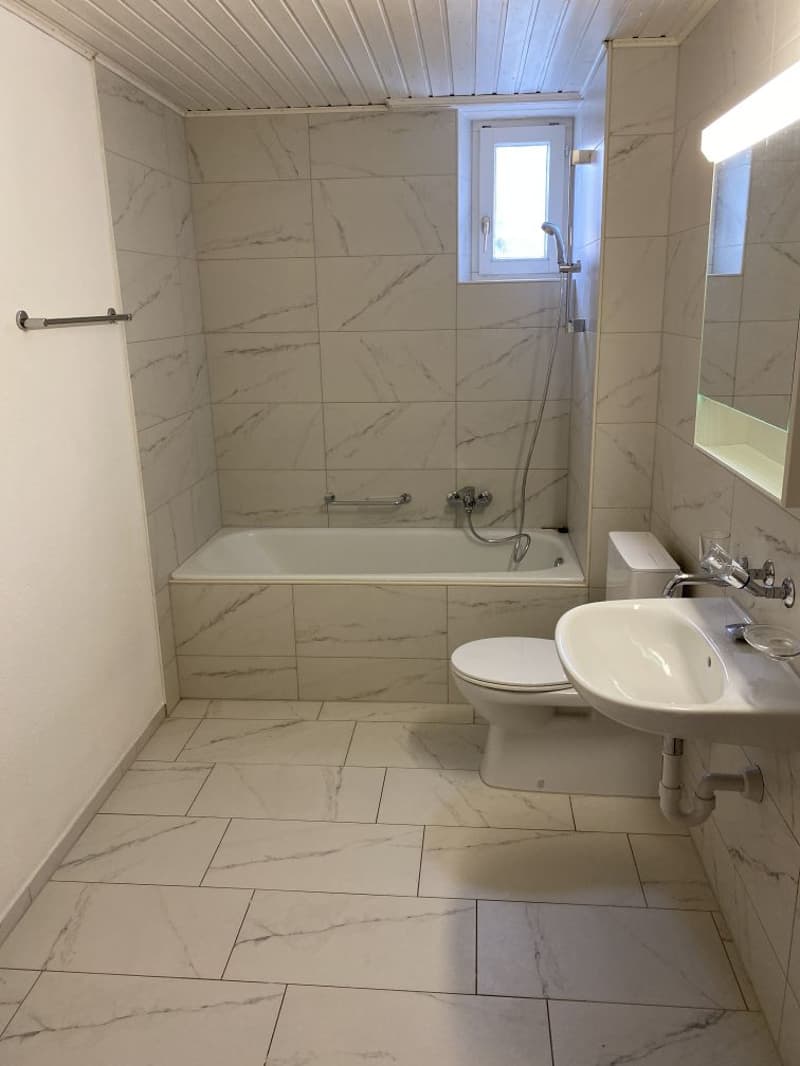 Magnifique appartement de 4.5 pièces! Un loyer offert! (8)