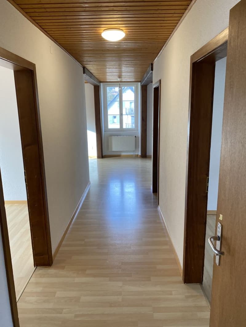 Magnifique appartement de 4.5 pièces! Un loyer offert! (6)