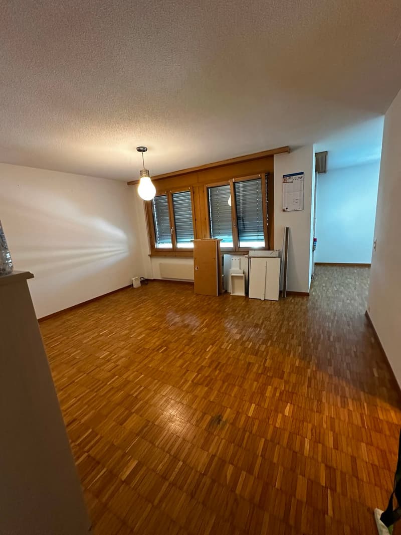 Weiträumige und gemütliche 1.5 Wohnung zu vermieten (2)