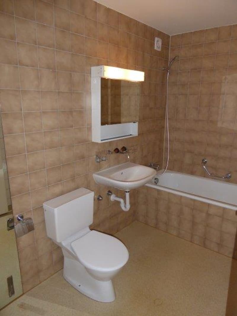 Grosse, wunderschöne 3.5-Zimmer-Wohnung (4)