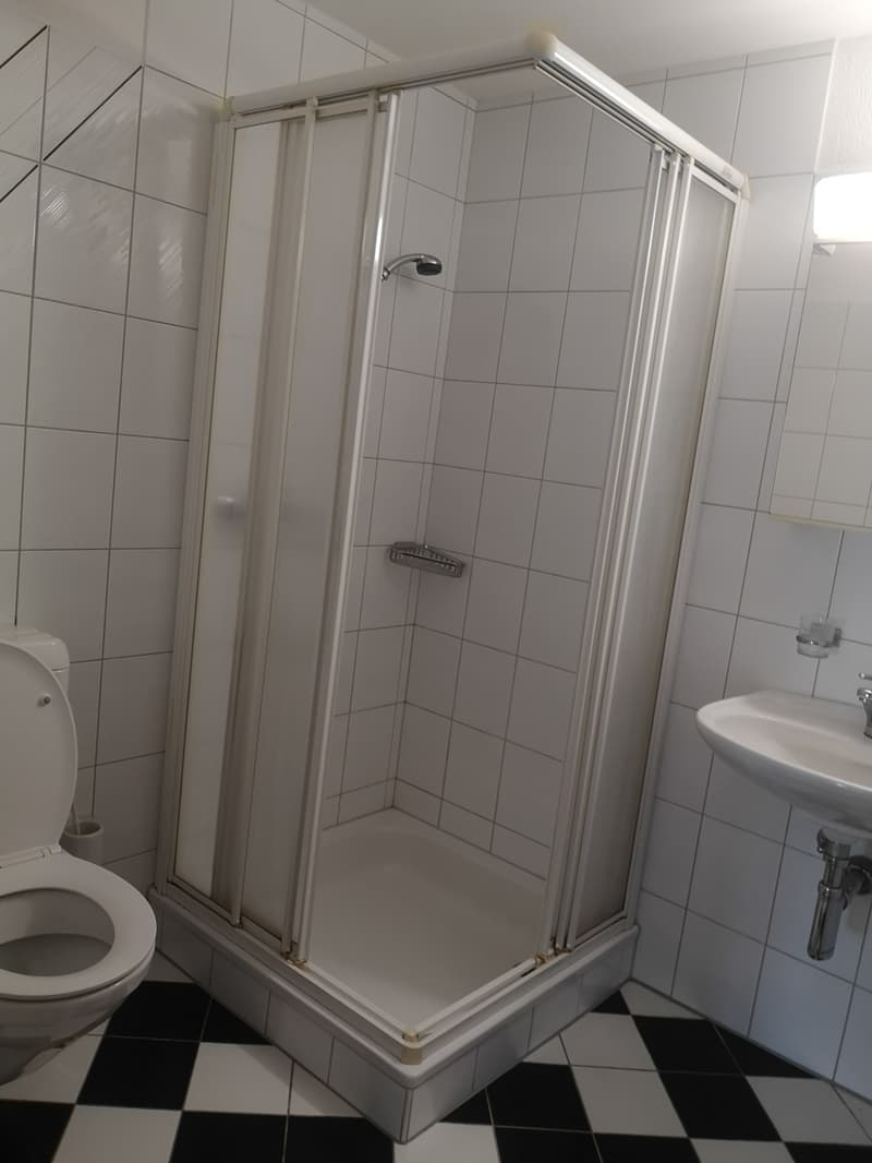 Charmante 3.5-Zimmer-Wohnung mit Balkon in Rekingen AG – ab sofort verfügbar (7)