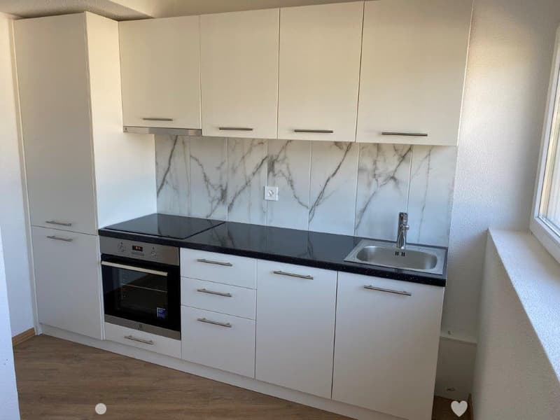 Charmante 2-Zimmer-Dachwohnung an der Madretschstrasse in Biel/Bienne (3)