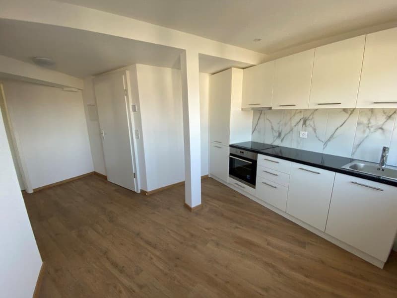Charmante 2-Zimmer-Dachwohnung an der Madretschstrasse in Biel/Bienne (9)