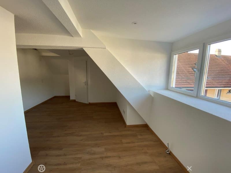 Charmante 1-Zimmer-Dachwohnung mit Estrich zu vermieten (6)