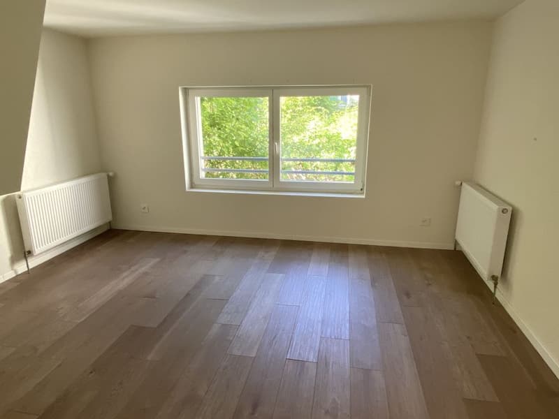 Wunderschönes Studio mit Gemeinschaftsküche (1)