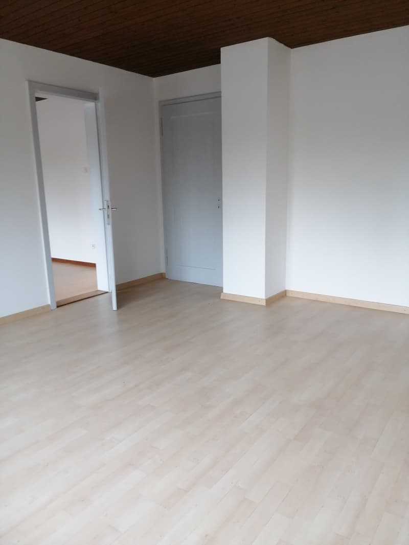 Weiträumige und helle 2.5 Zimmerwohnung zu vermieten (6)