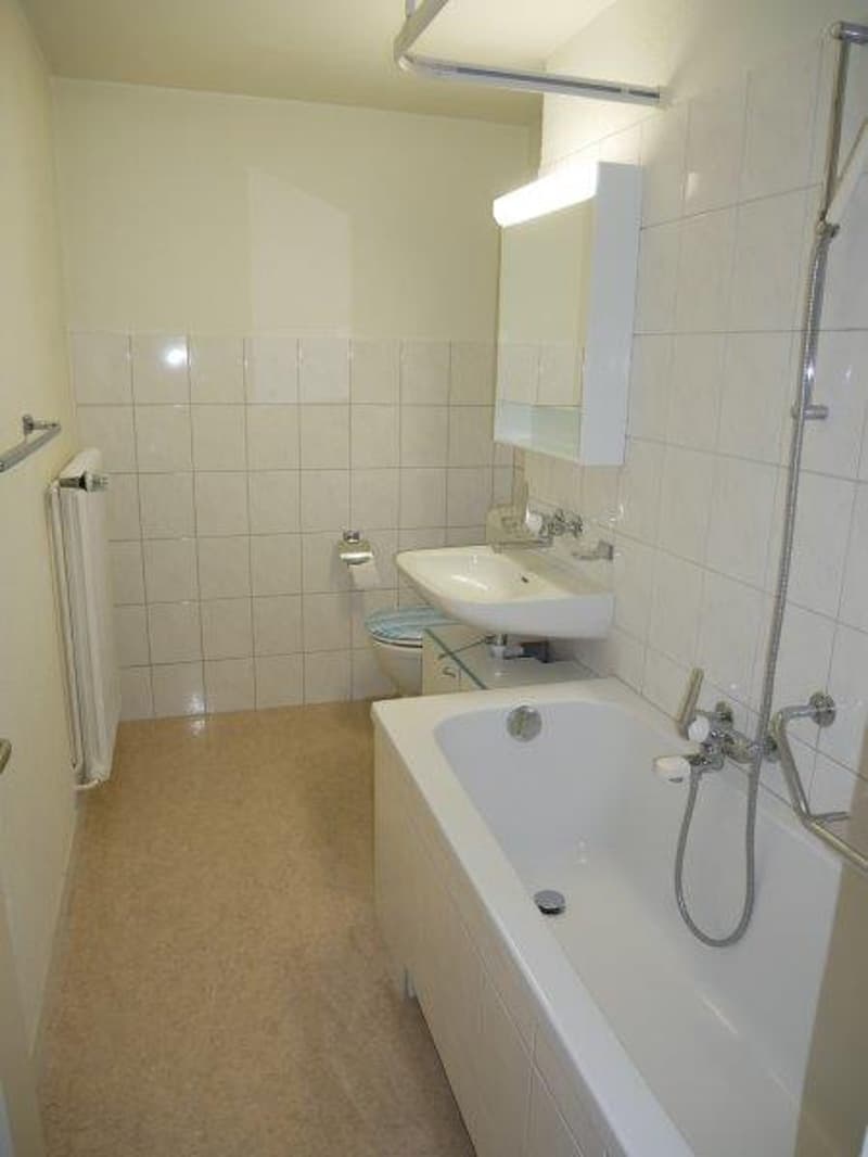 Schöne 3.5-Zimmerwohnung zu vermieten (7)