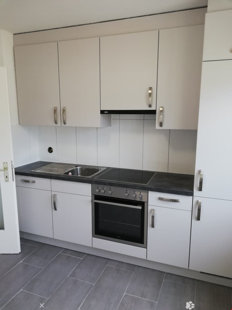 Geräumige renovierte 3.5-Zimmerwohnung mit 2 Balkonen (2)