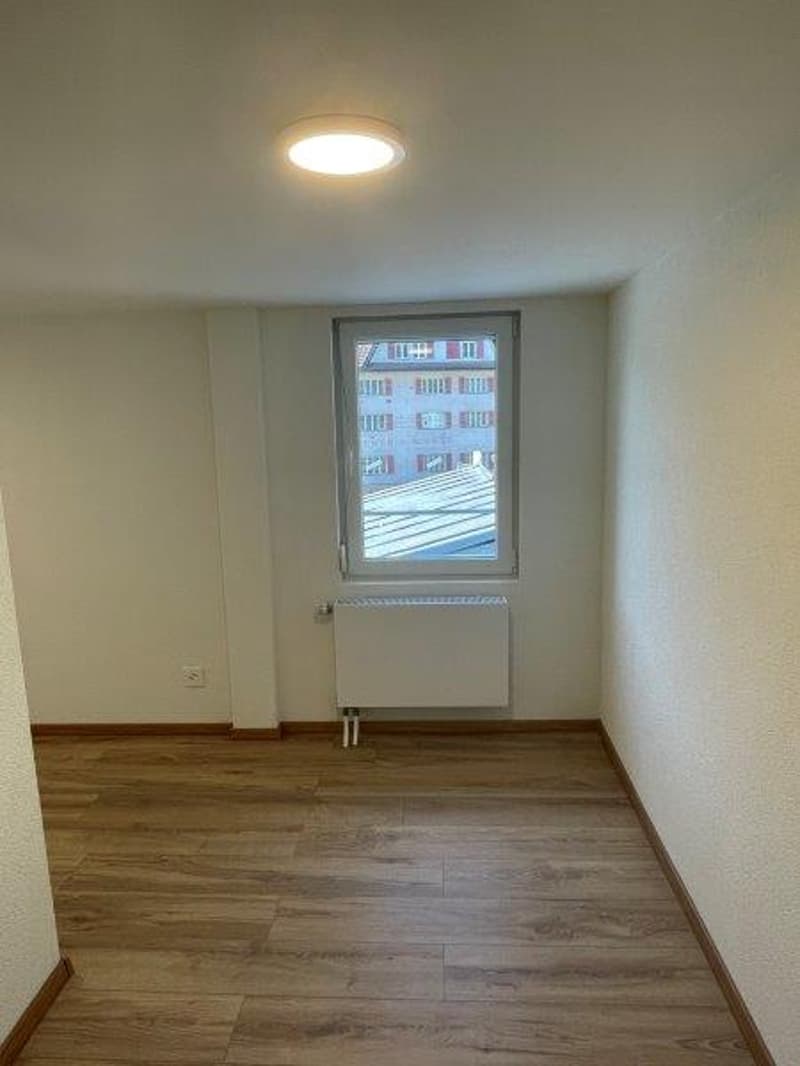 Moderne 1-Zimmer-Wohnung in Seewen SZ mit Bergblick (3)