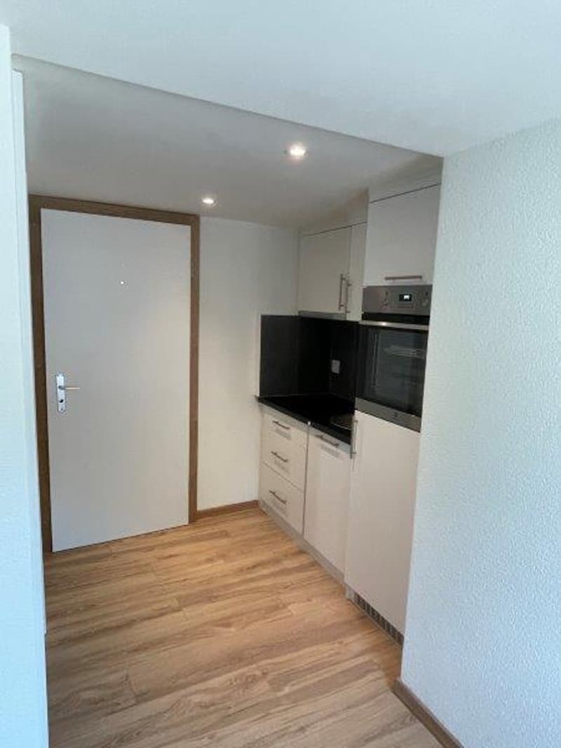 Moderne 1-Zimmer-Wohnung in Seewen SZ mit Bergblick (2)
