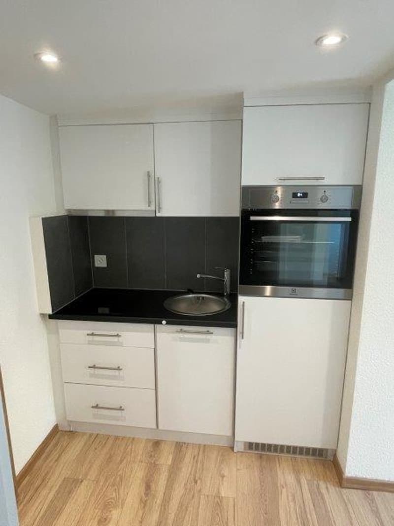 Moderne 1-Zimmer-Wohnung in Seewen SZ mit Bergblick (1)