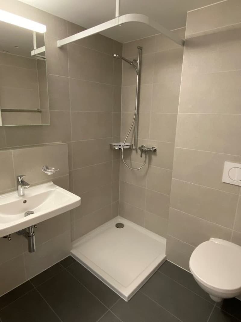 Modernes 1-Zimmer-Apartment im Neubau an der Bahnhofstrasse in Seewen SZ (7)