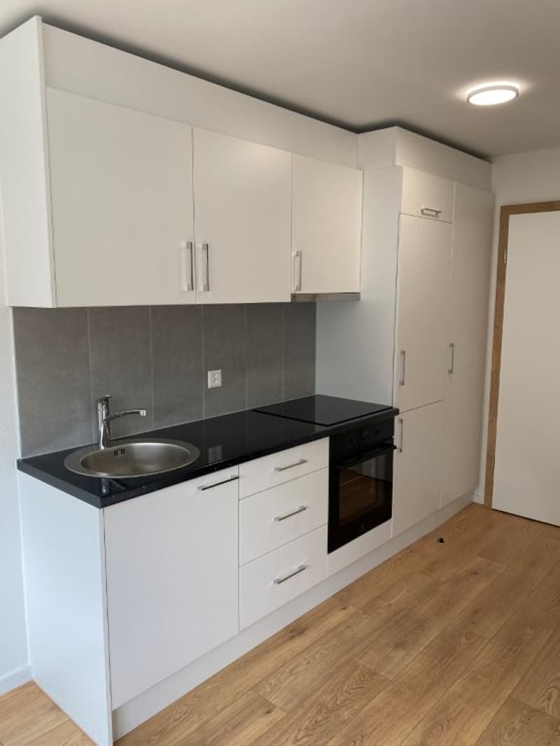 Modernes 1-Zimmer-Apartment im Neubau an der Bahnhofstrasse in Seewen SZ (3)