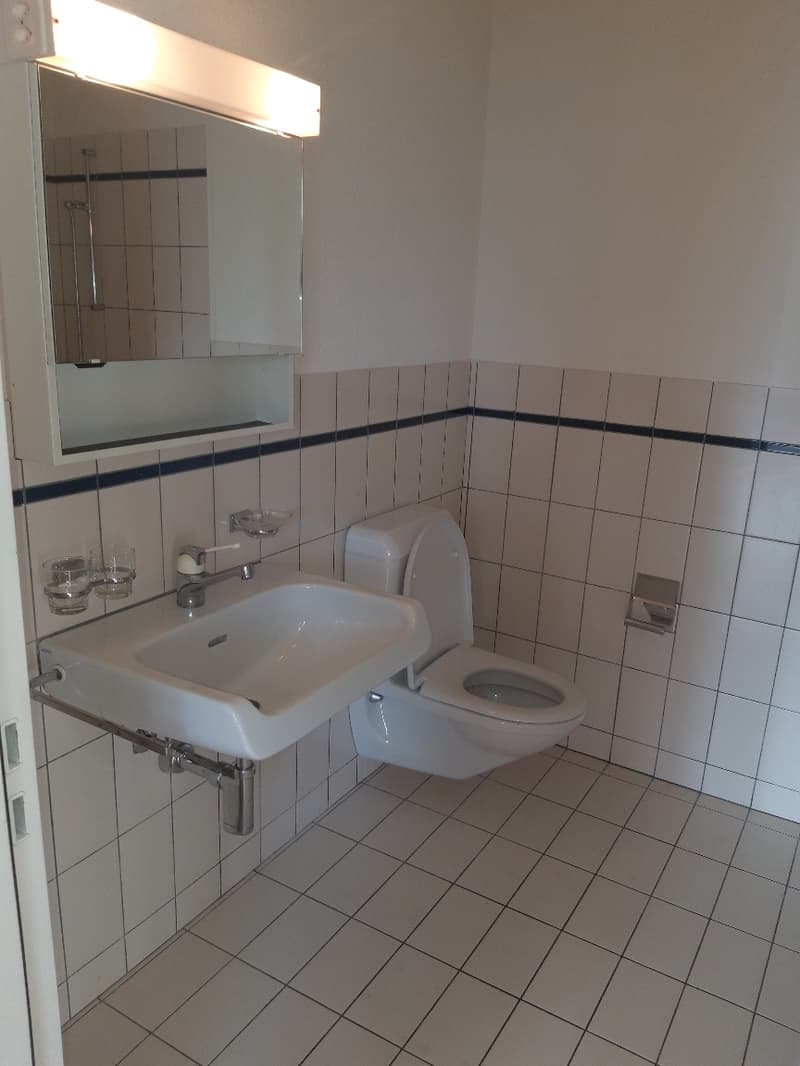 Weiträumige und gemütliche 1.5 Wohnung zu vermieten (3)