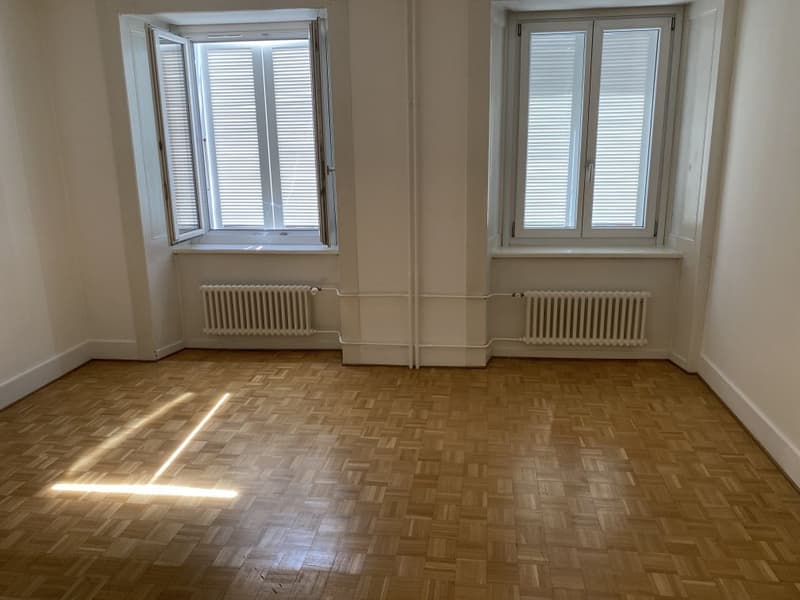 Magnifique appartement de 3,5 pièces à louer (3)