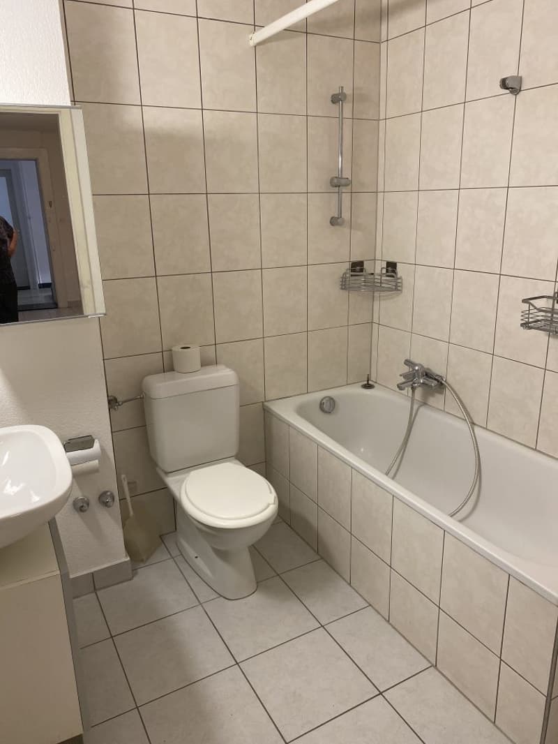 Magnifique appartement de 3,5 pièces à louer (6)