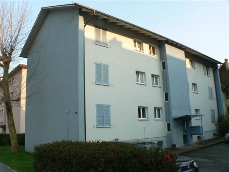 Gemütliche renovierte 2-Zimmerwohnung in Dietikon (1)