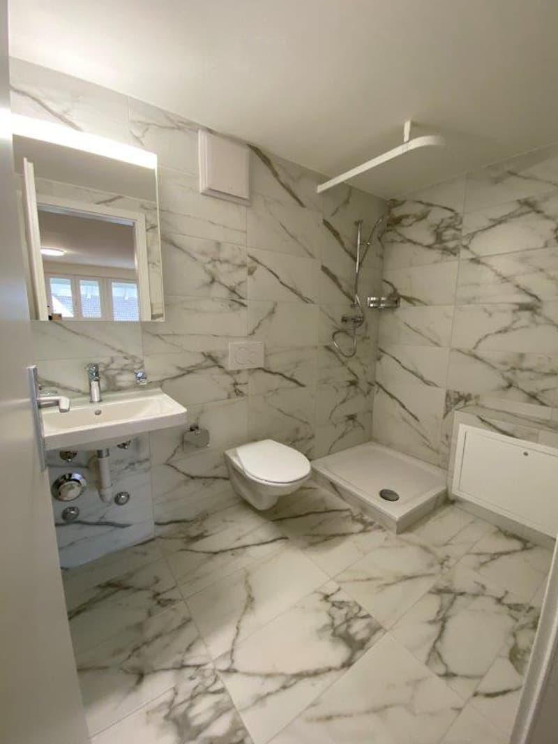 Gemütliches Studio in Fehraltdorf - renoviert und perfekt für Singles oder Paare! (5)
