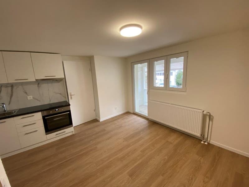 Gemütliches Studio in Fehraltdorf - renoviert und perfekt für Singles oder Paare! (4)