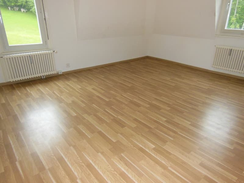 Helle 3-Zimmer-Wohnung in St. Gallen zu vermieten (8)
