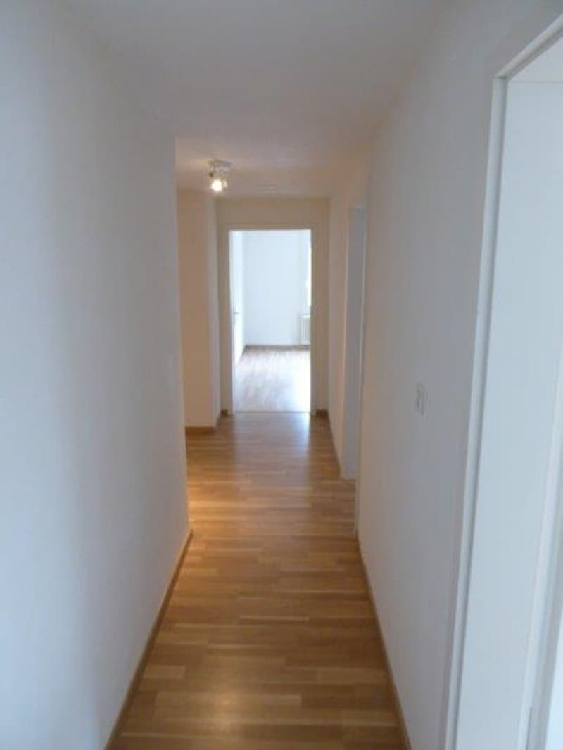 Helle 3-Zimmer-Wohnung in St. Gallen zu vermieten (11)