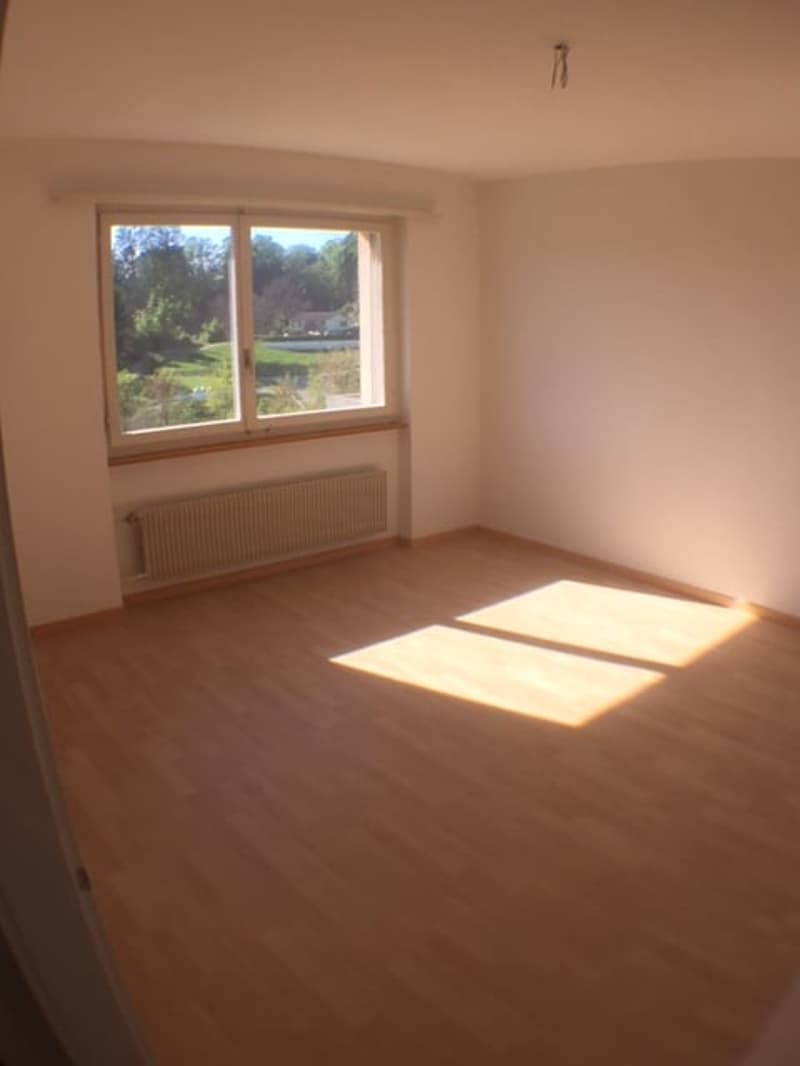 Wunderschöne renovierte 2-Zimmerwohnung mit grossem Balkon (5)