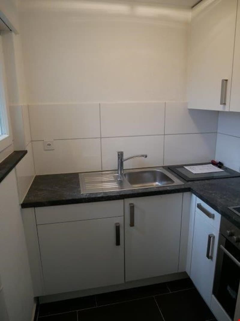 Helle 2-Zimmer-Wohnung mit Balkon und Bergblick in Bilten (2)