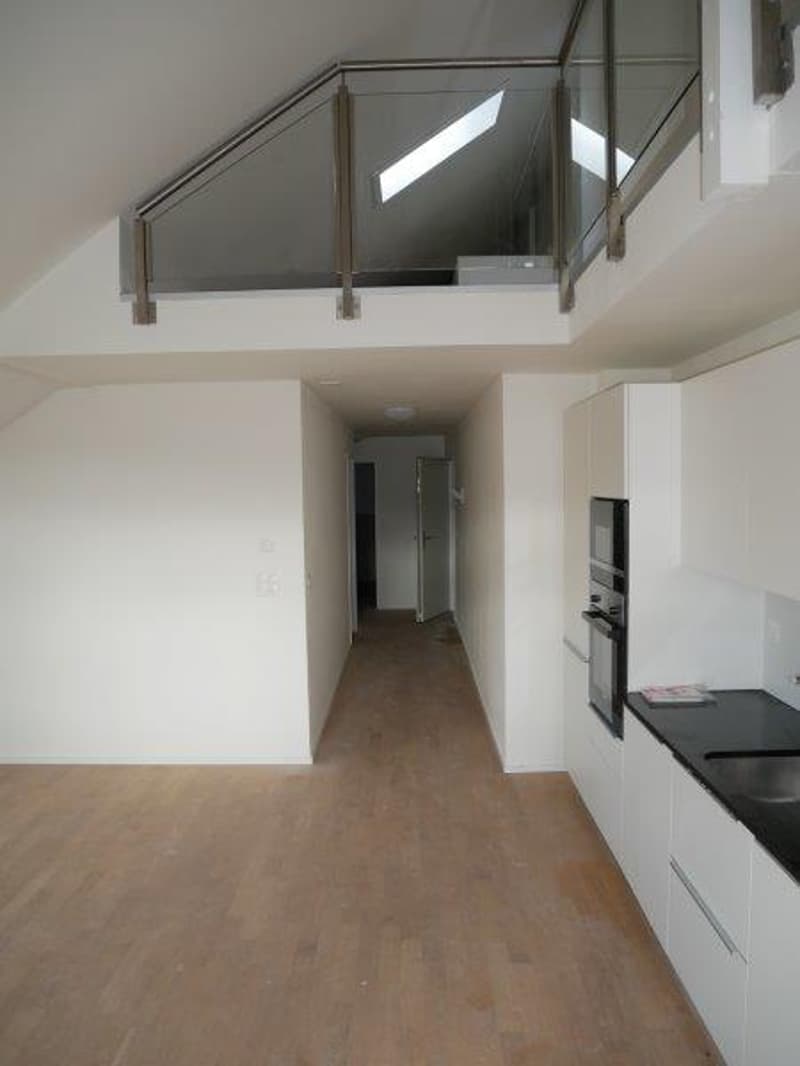 Duplex Wohnung zum vermieten! (3)