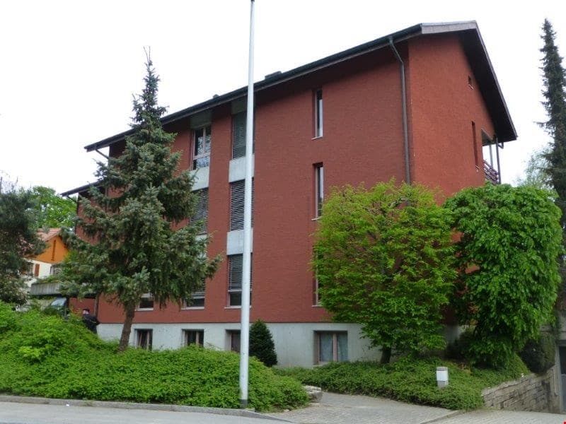 wunderschöne, helle, 4.5 Zimmerwohnung in schöner Umgebung (1)